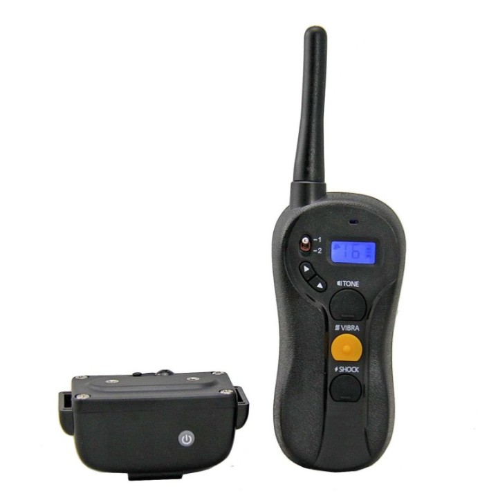 meilleur collier pour chien