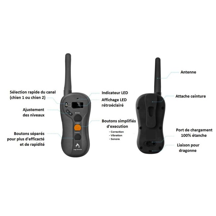 Collier d'éducation 8 niveaux 300m