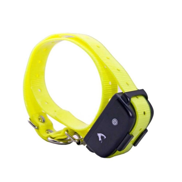 Collier d'éducation 8 niveaux 300m