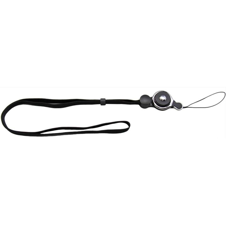 collier dressage chien