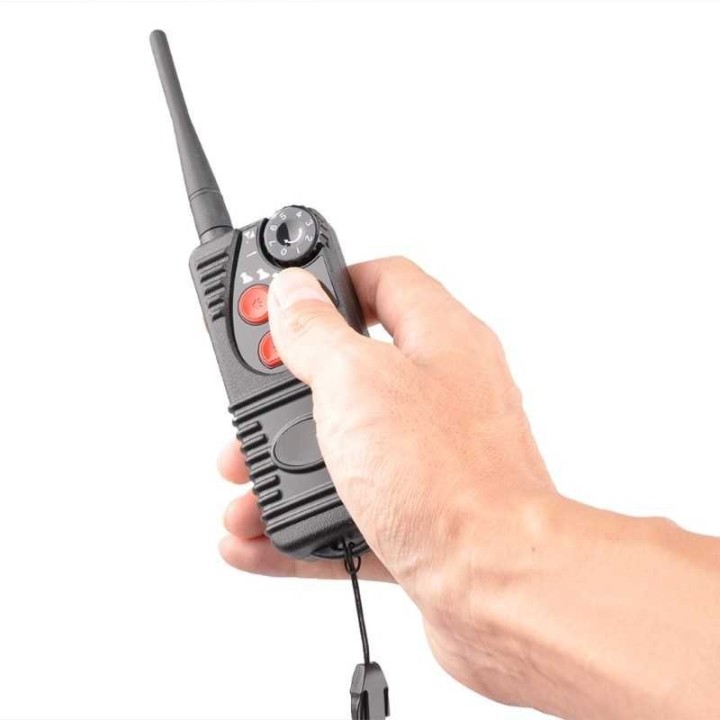 télécommande de collier de dressage simple