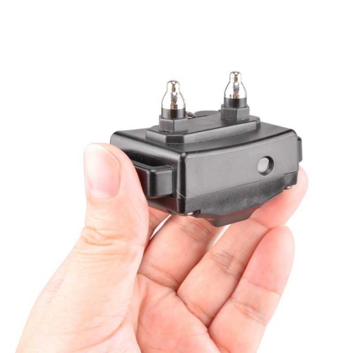 récepteur de collier de dressage compact