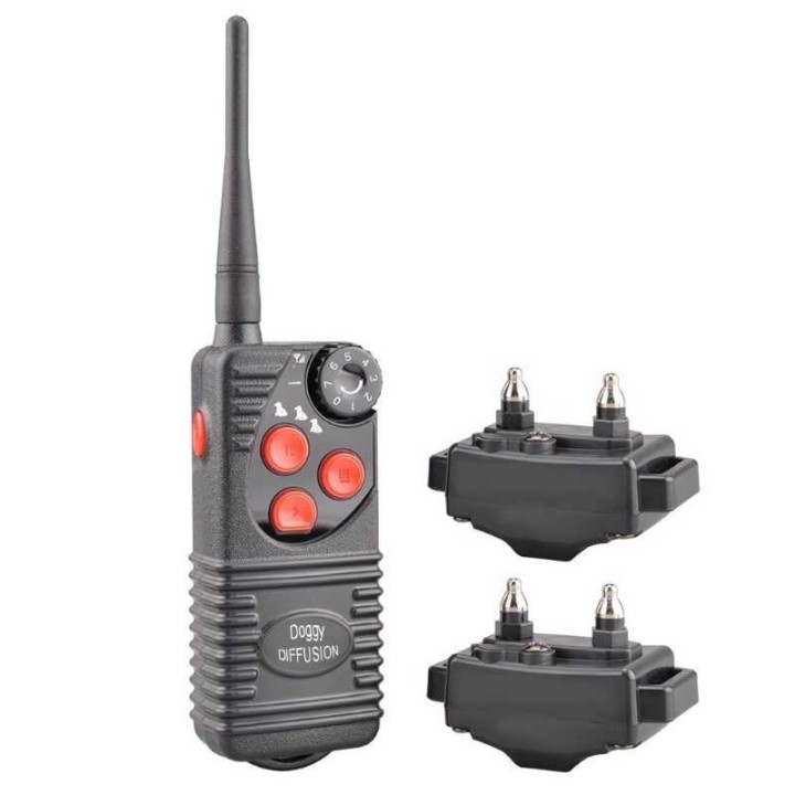 collier pour chien petsafe