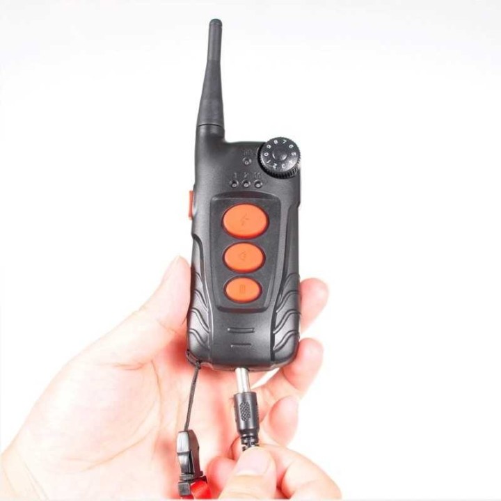 chargement télécommande de rappel pour chien