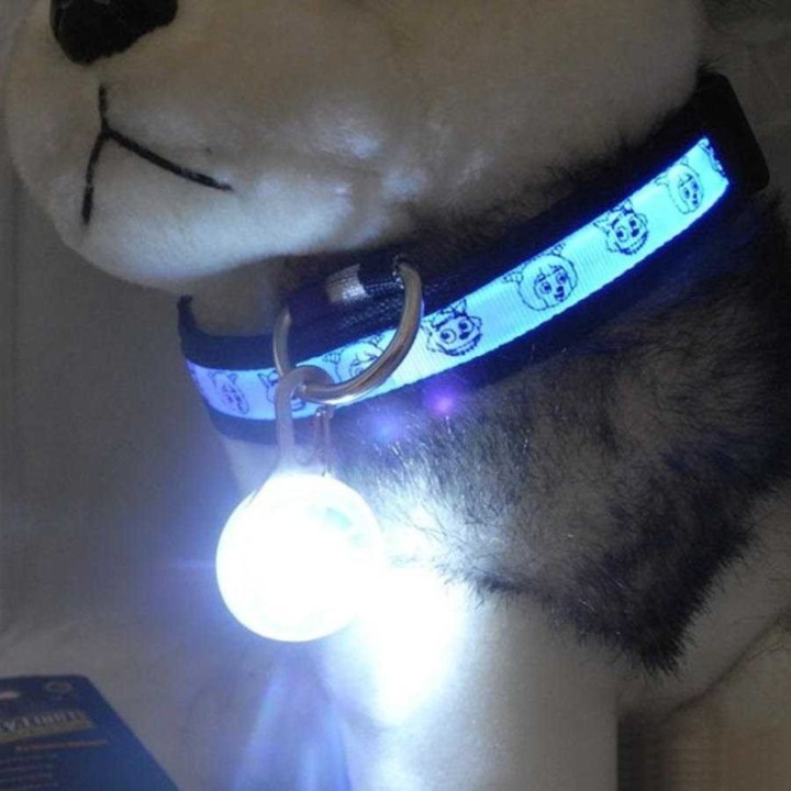 Collier pour chien réglable lumineux de localisation et de sécurité (5 tailles au choix)