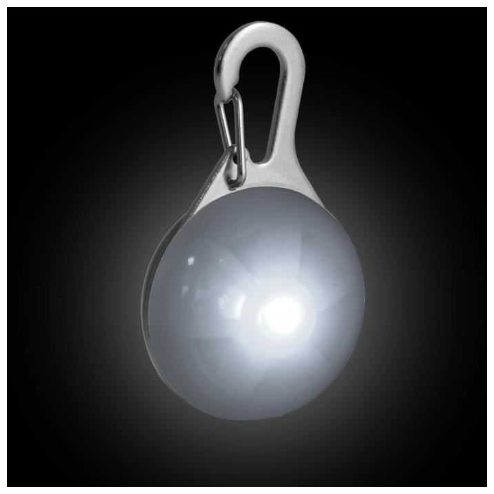 Collier pour chien réglable lumineux de localisation et de sécurité (5 tailles au choix)