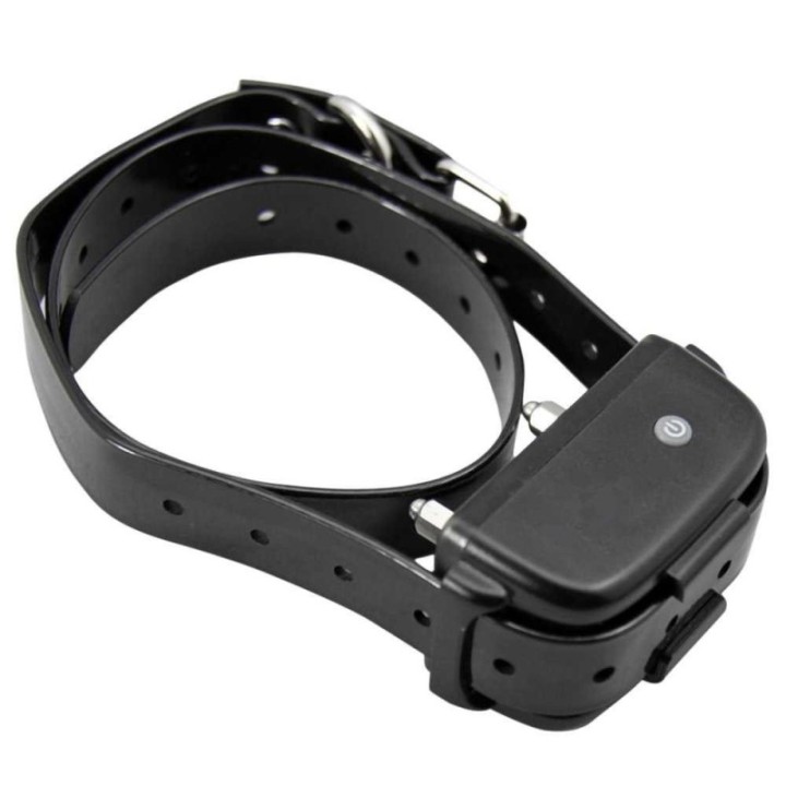 Collier récepteur efficace pour chien