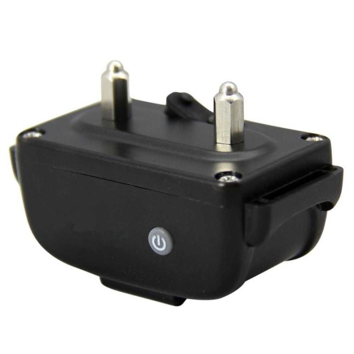 Collier récepteur de dressage pour chien