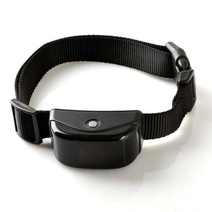 Collier récepteur de dressage pas cher