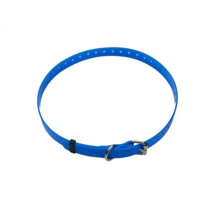 Sangle bleue chien collier
