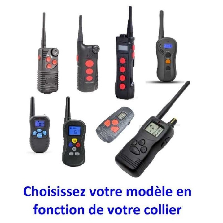 Télécommande pour collier de dressage