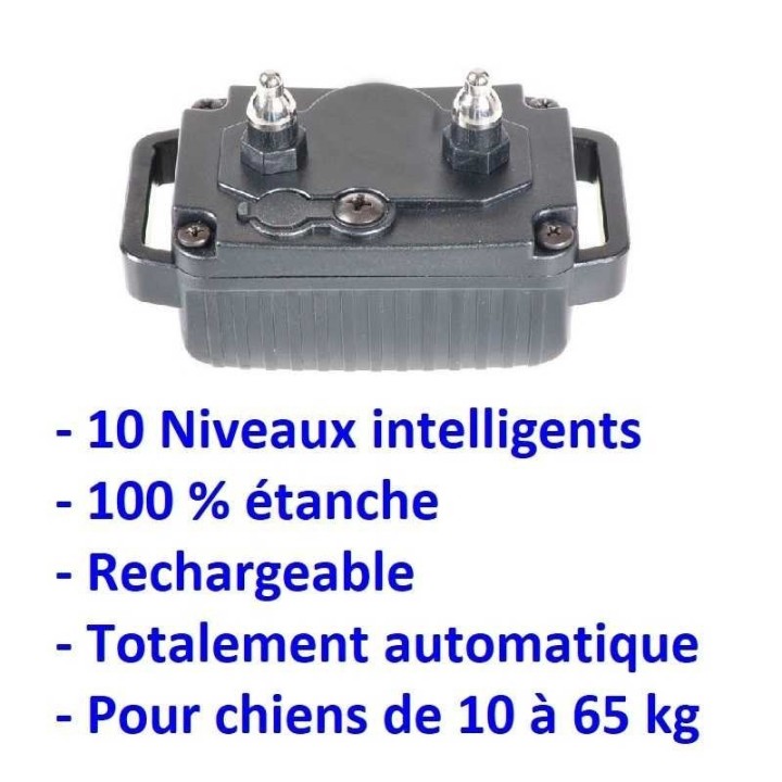 Collier d'éducation 8 niveaux 300m