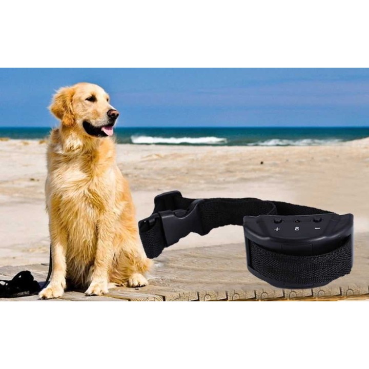 Collier Anti-Aboiements Standard 6 Niveaux SensibilitÃ© Ajustable Analogiquement