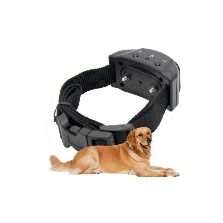 Collier anti aboiement jack russel