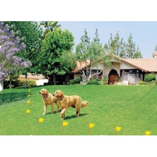 ClÃ´ture Anti-Fugue standard