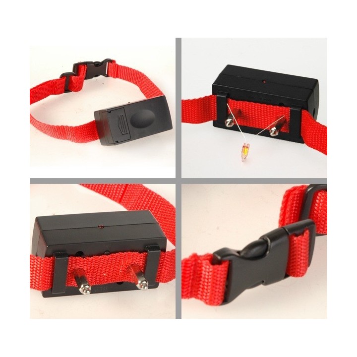 Collier Anti-Aboiements Standard 5 Niveaux