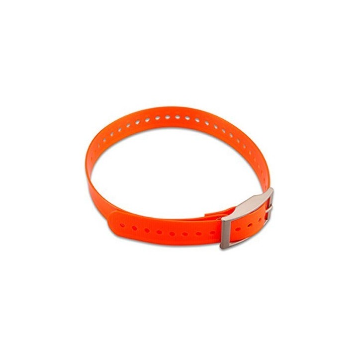 Collier d'éducation 8 niveaux 300m