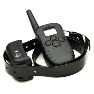 Collier De Dressage Pour Chien