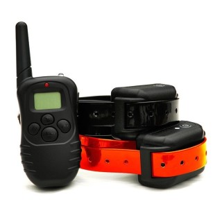 Collier De Dressage Pour 2 Chien