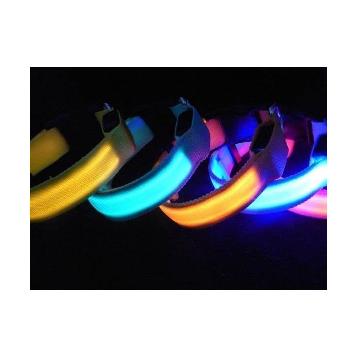 Collier pour chien réglable lumineux de localisation et de sécurité (5 tailles au choix)