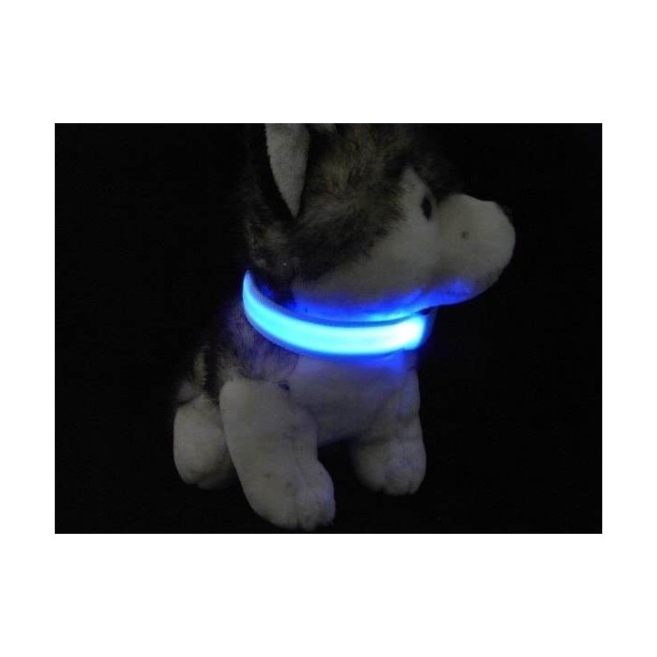 Collier pour chien réglable lumineux de localisation et de sécurité (5 tailles au choix)