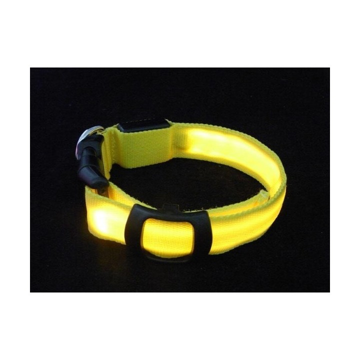 Collier pour chien réglable lumineux de localisation et de sécurité (5 tailles au choix)
