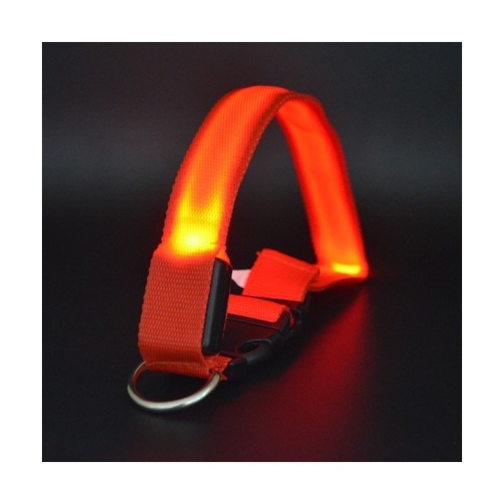 Collier pour chien réglable lumineux de localisation et de sécurité (5 tailles au choix)