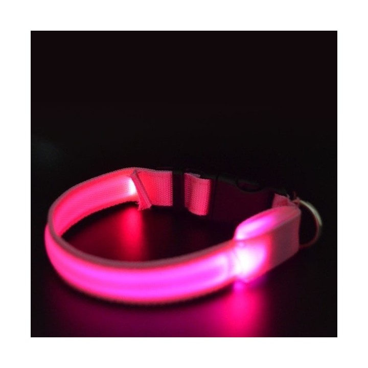 Collier réglable pour chien