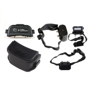 collier anti fugue pour chien